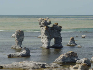 Gotländska raukar. Foto: Jürgen Howaldt